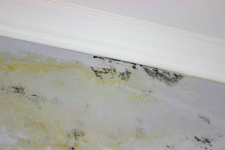 black mold on the wall. Fungus on the wall after the flooding of the house.